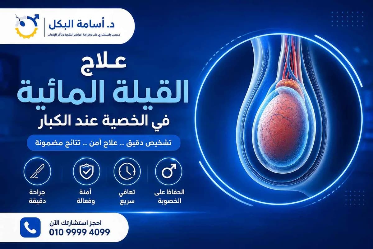 صورة توضيحية للموضوع
