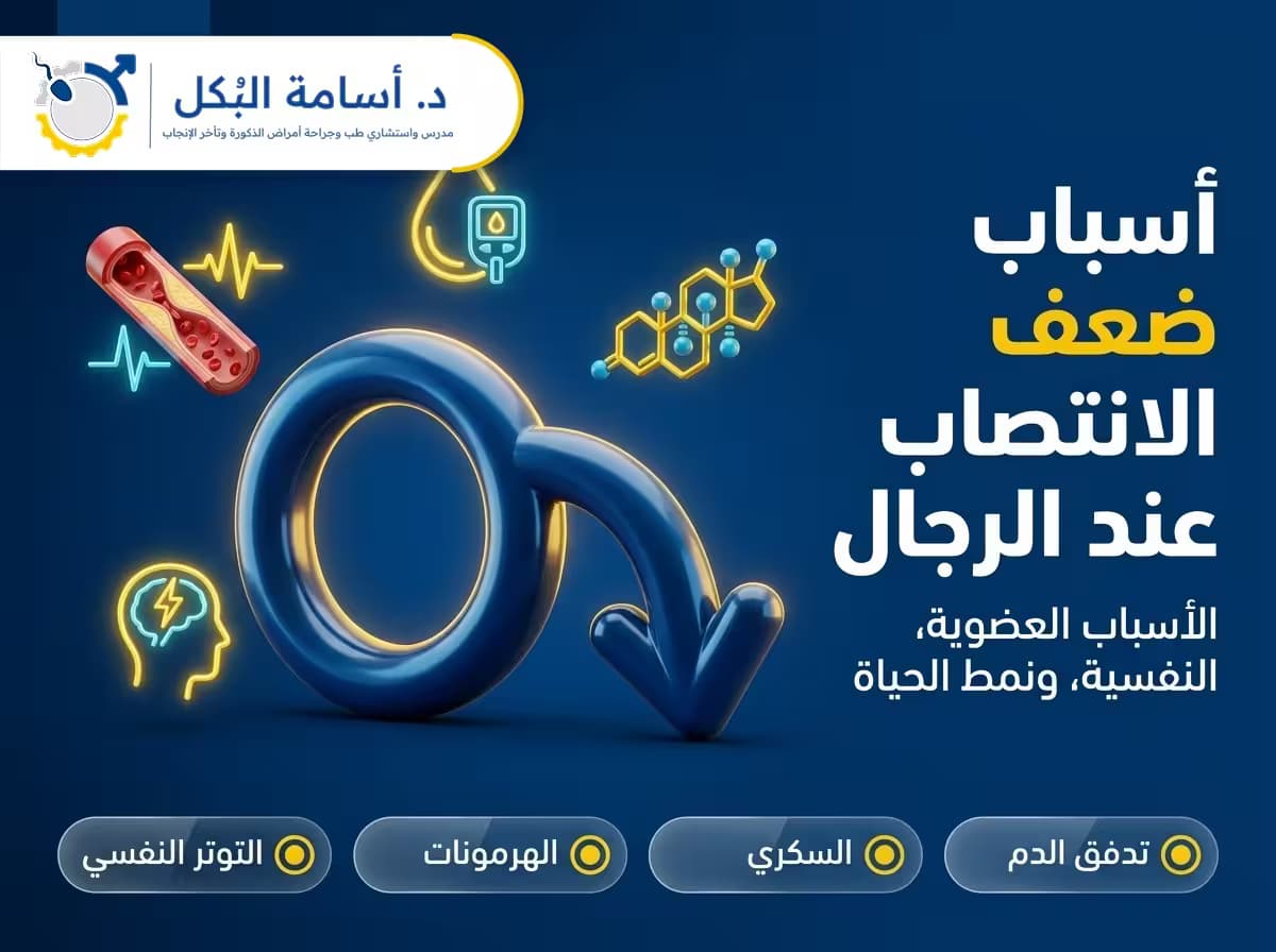 أسباب ضعف الانتصاب عند الرجال | متى يكون الخطر حقيقي؟ – د. أسامة البكل