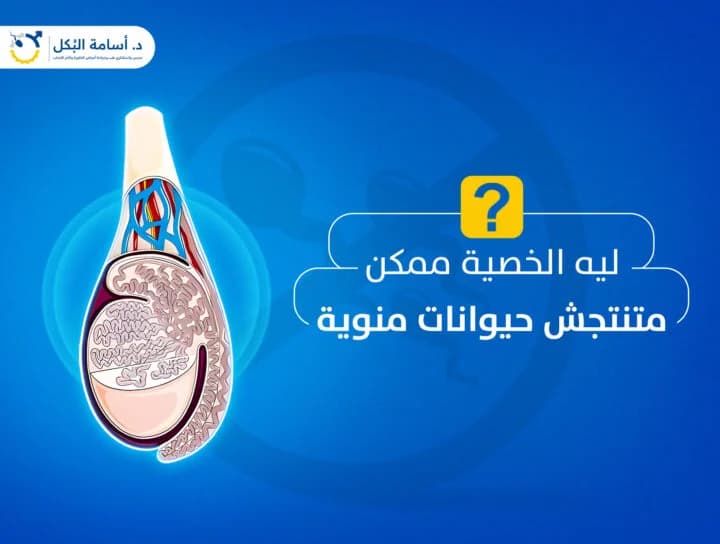 مشاكل الخصية