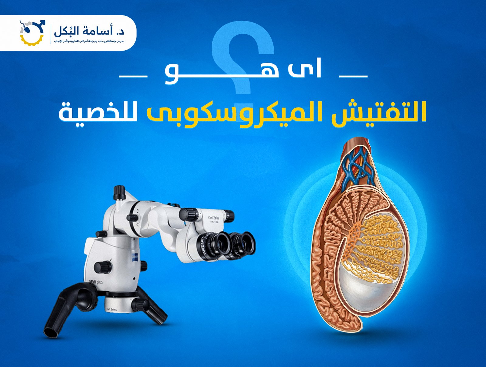 التفتيش الميكروسكوبي للخصية