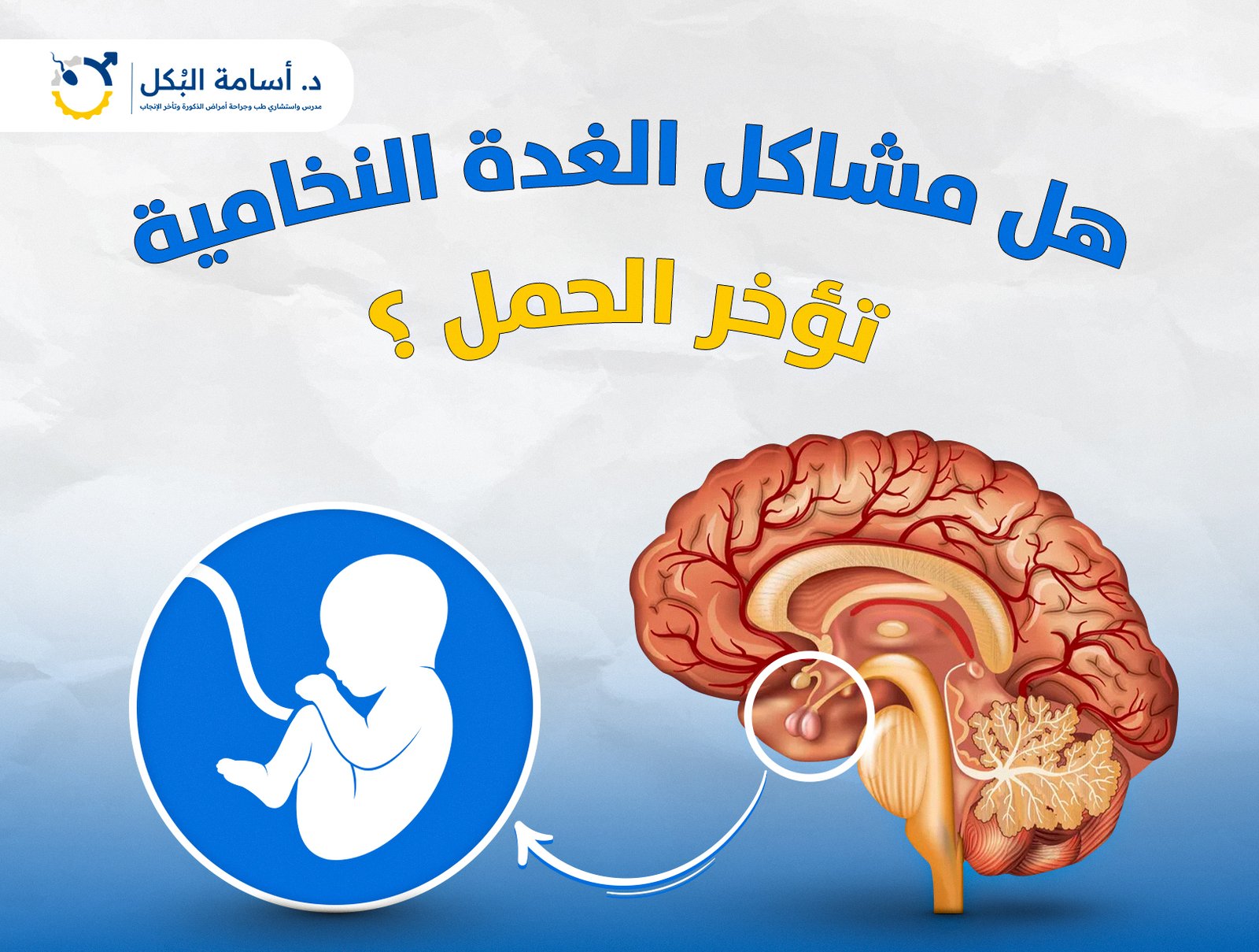 هل مشاكل الغدة النخامية تؤخر الحمل؟