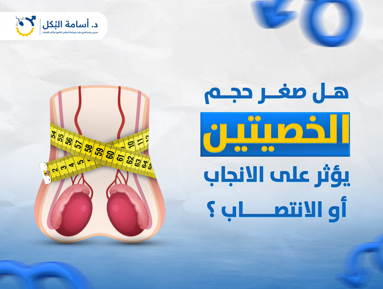 هل صغر حجم الخصيتين يؤثر على الانجاب او الانتصاب؟
